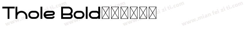 Thole Bold字体转换